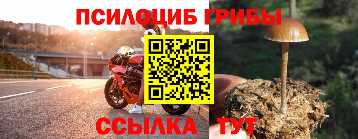 Псилоцибиновые грибы MAGIC MUSHROOMS  Вход с VPN  Галлюциногенные грибы MAGIC MUSHROOMS  Дюртюли 