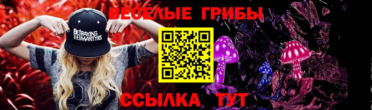 Галлюциногенные грибы Psilocybine cubensis Дюртюли